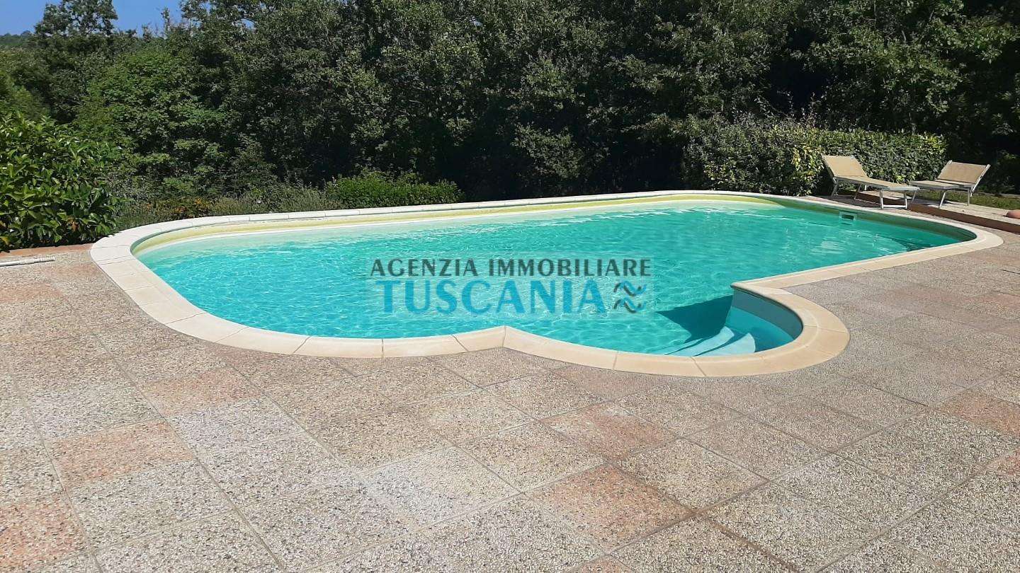  - foto 41