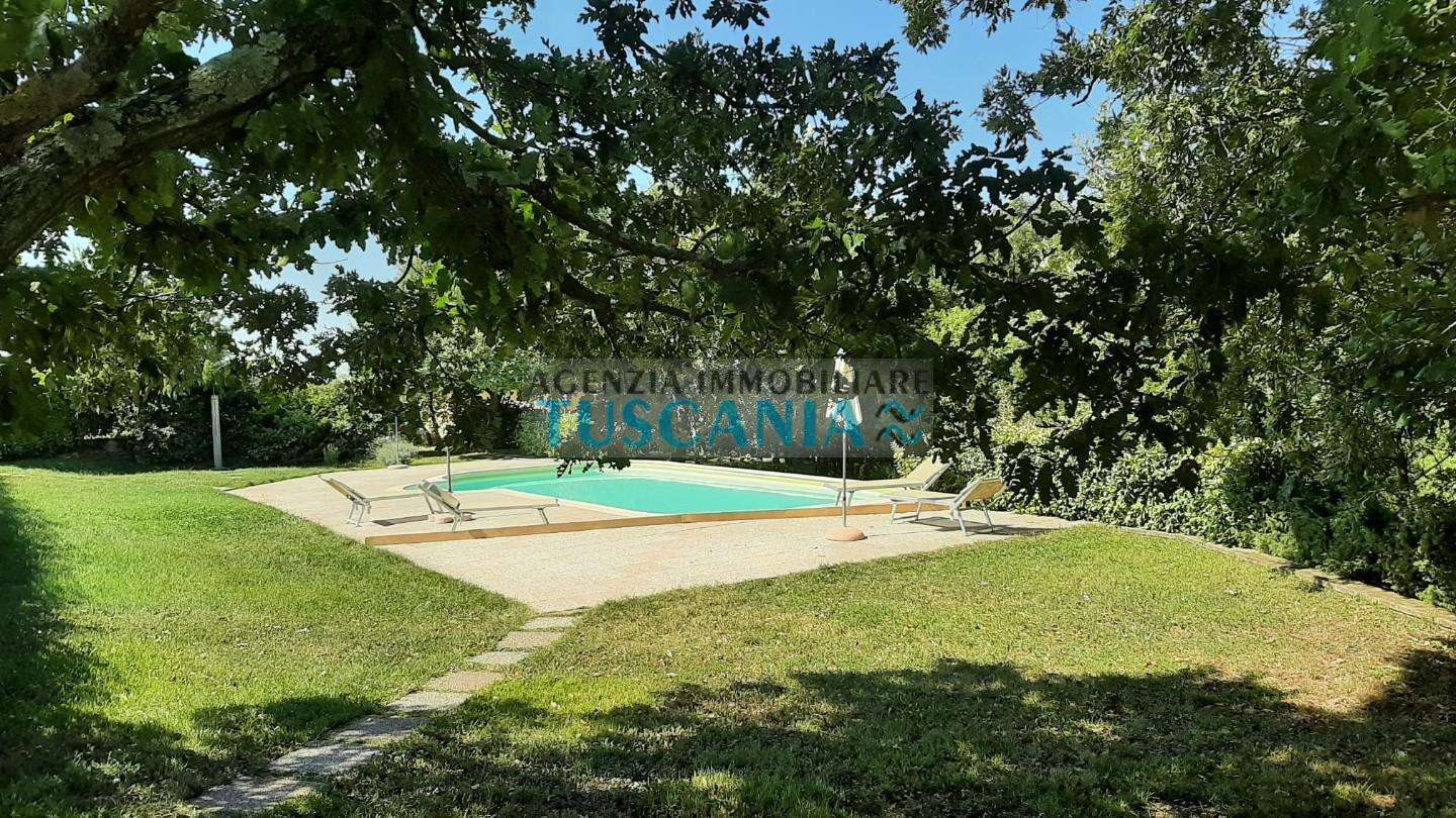  - foto 43