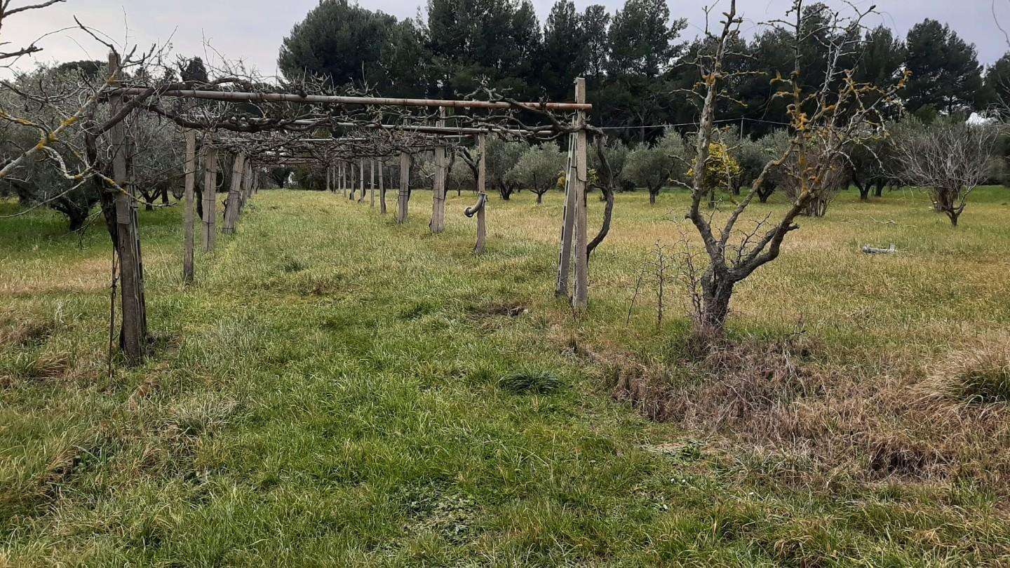 immagine annuncio 6 di 11