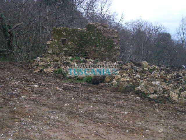  - foto 12