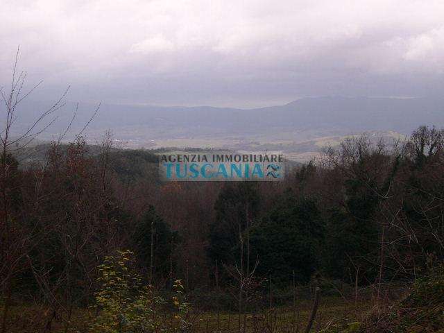  - foto 13