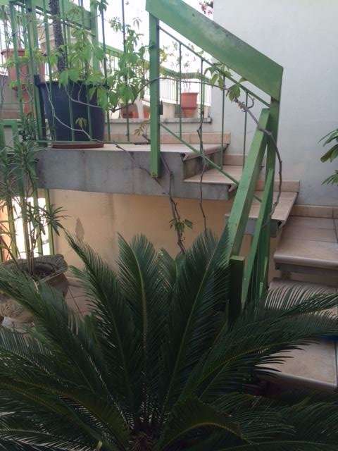  - foto 22