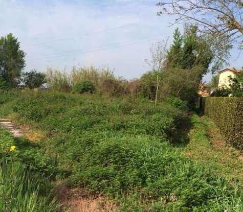 Terreno agricolo in Vendita a Cascina Via Ripoli,