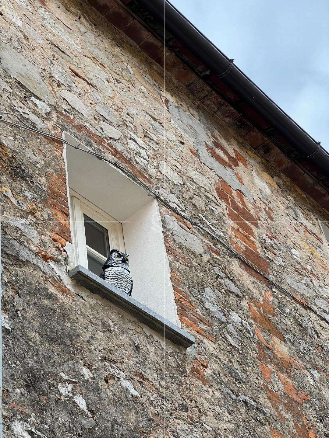  - foto 9