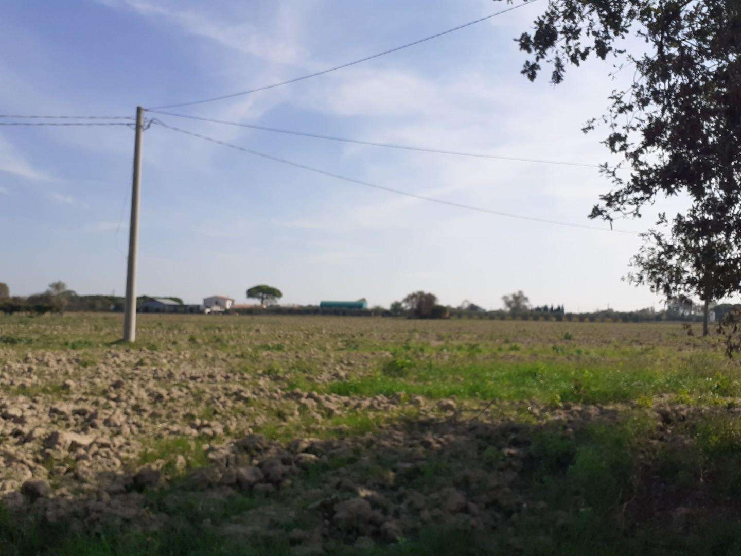 Terreno agricolo in Vendita a Cascina San Frediano a Settimo,