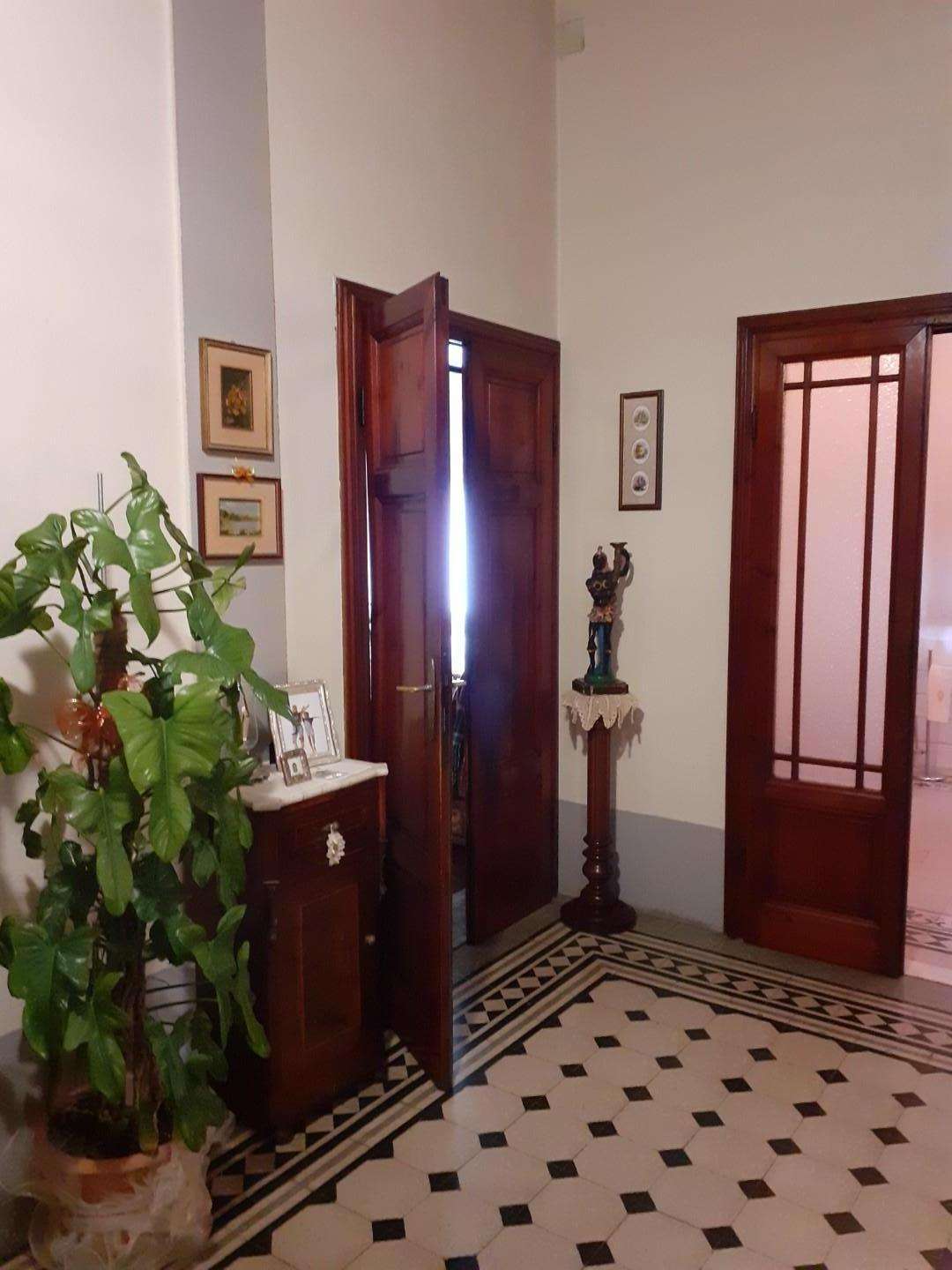  - foto 11