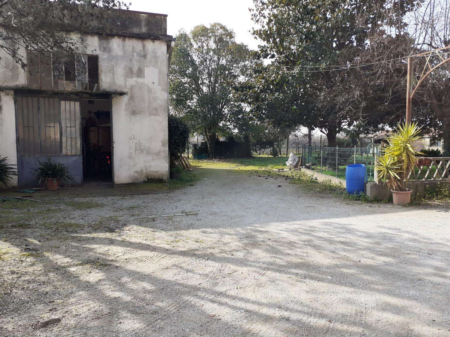  - foto 30