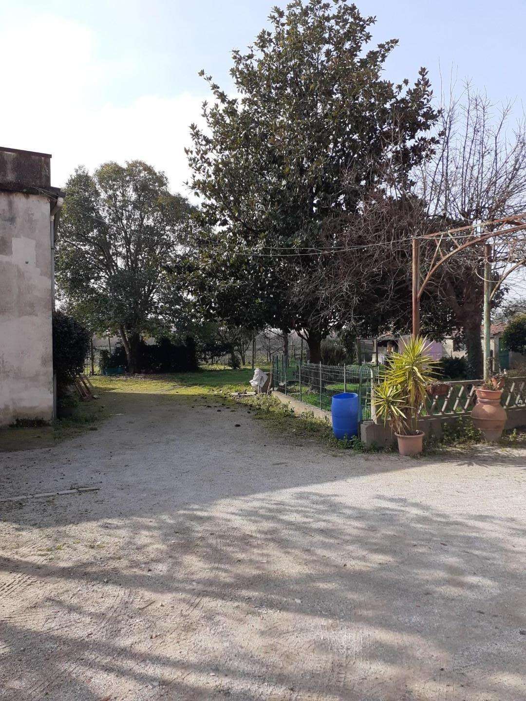  - foto 31