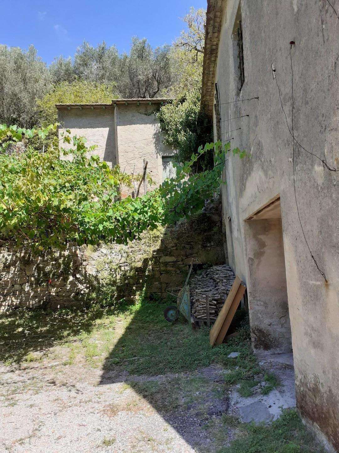 immagine annuncio 2 di 3