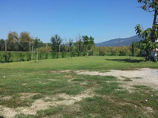 immagine annuncio 4 di 9