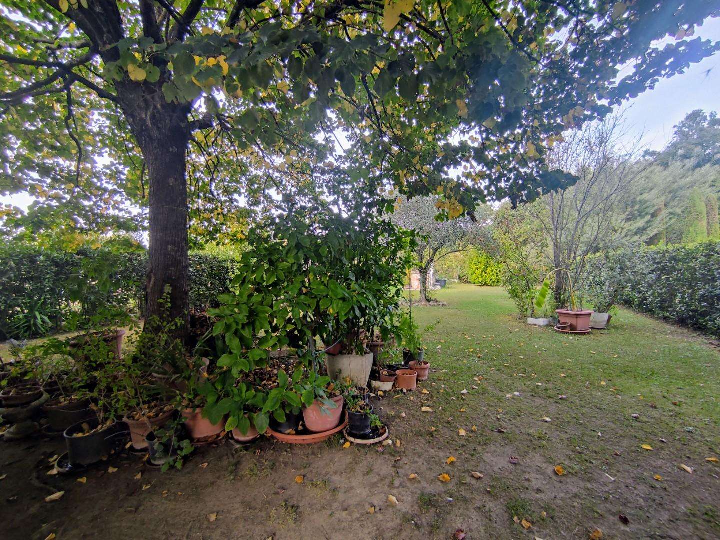  - foto 34