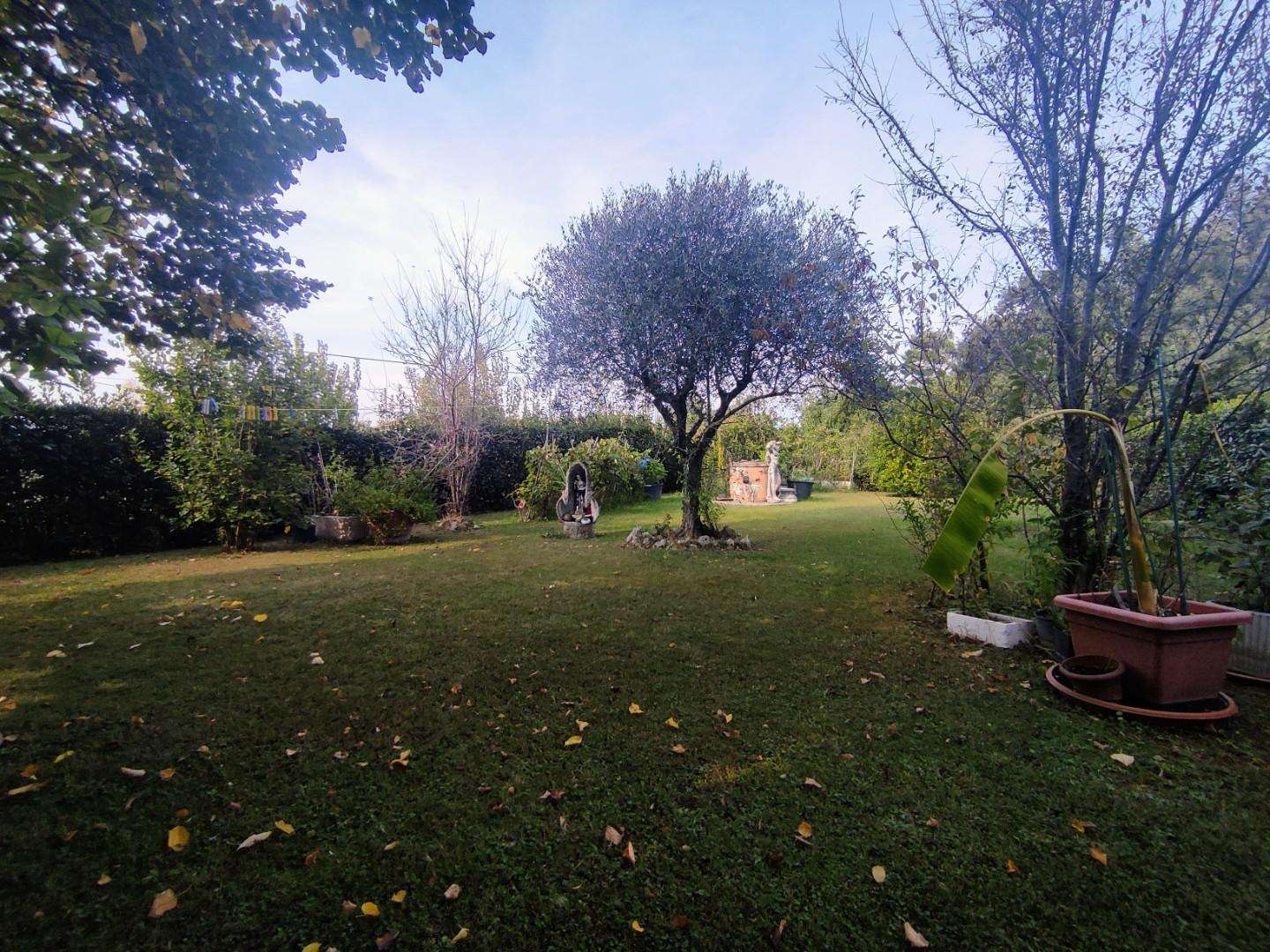  - foto 35