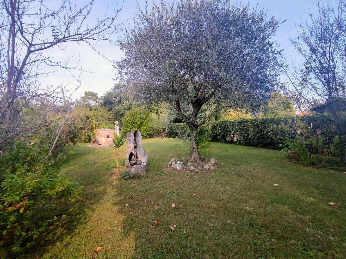  - foto 36
