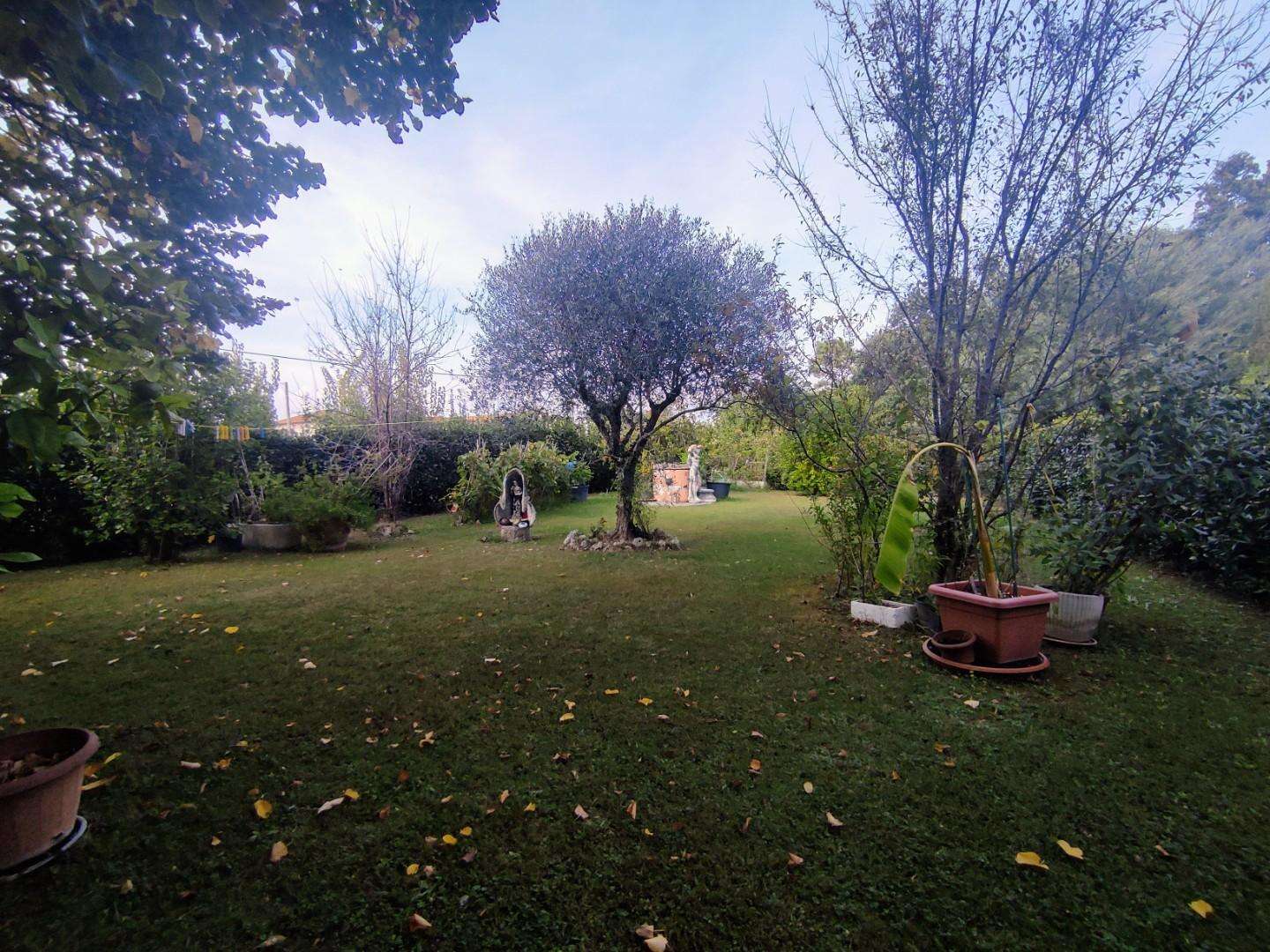  - foto 40
