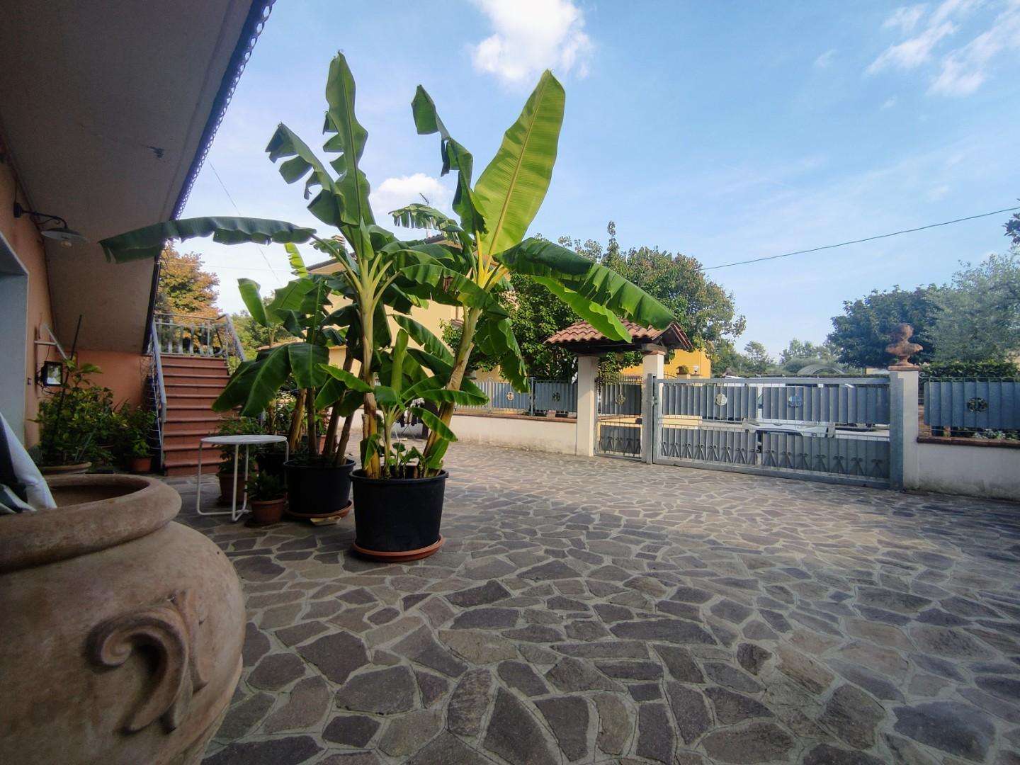  - foto 51