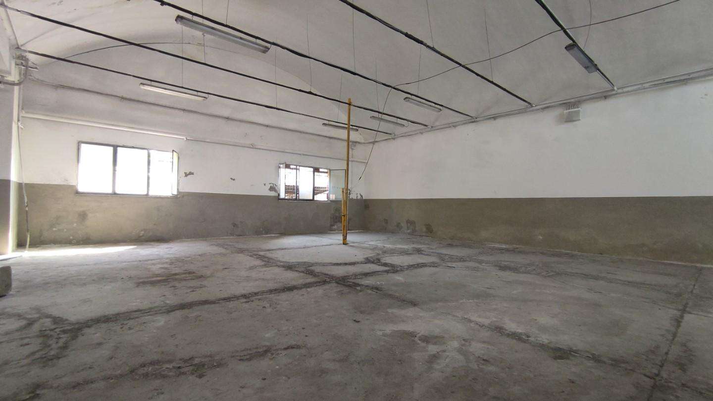  - foto 31
