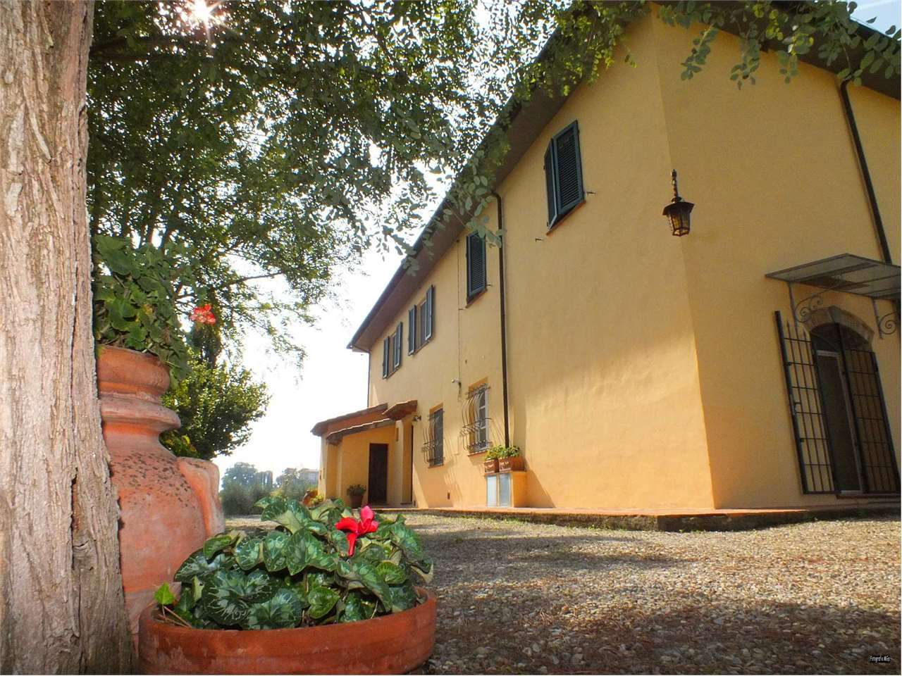 immagine annuncio 6 di 9
