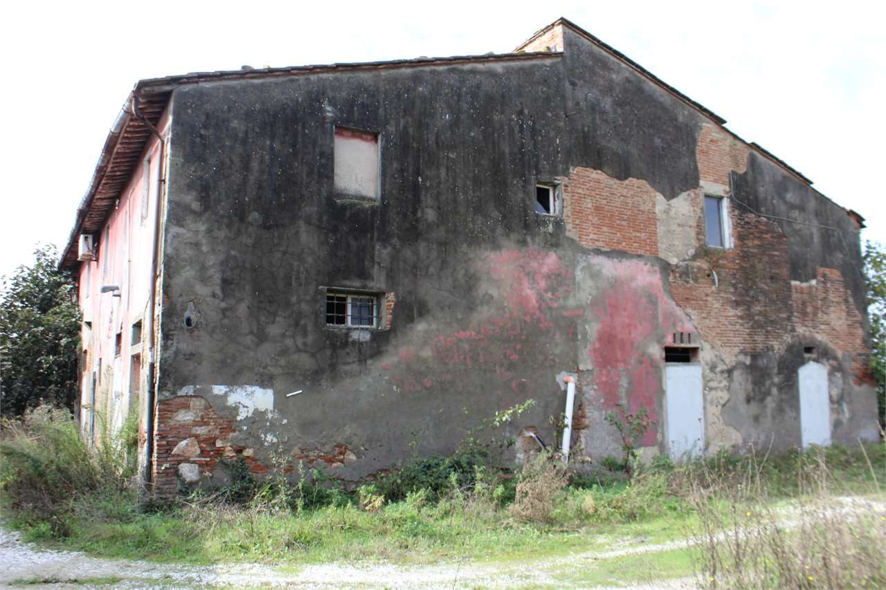 immagine annuncio 4 di 8