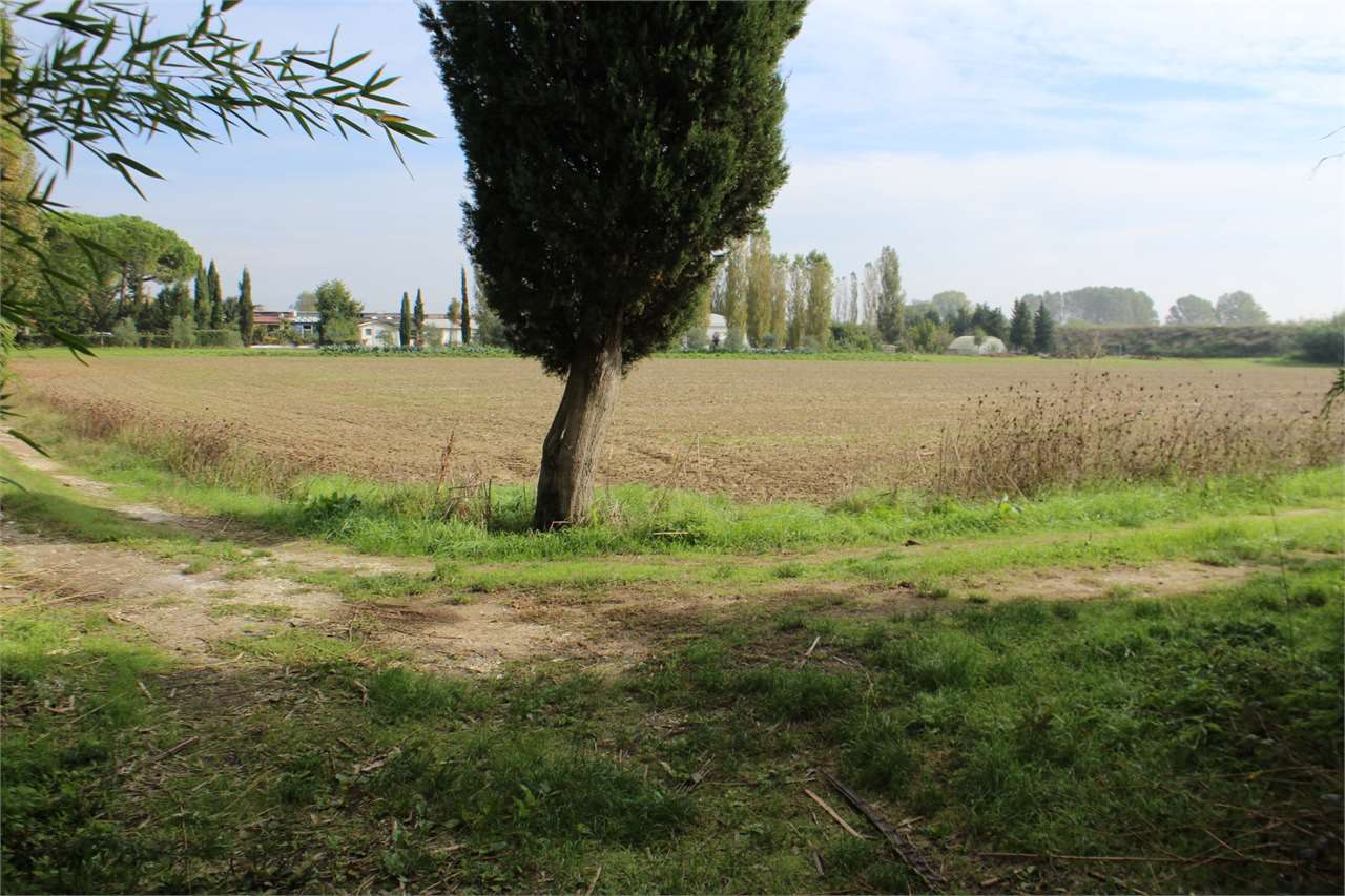 immagine annuncio 6 di 8