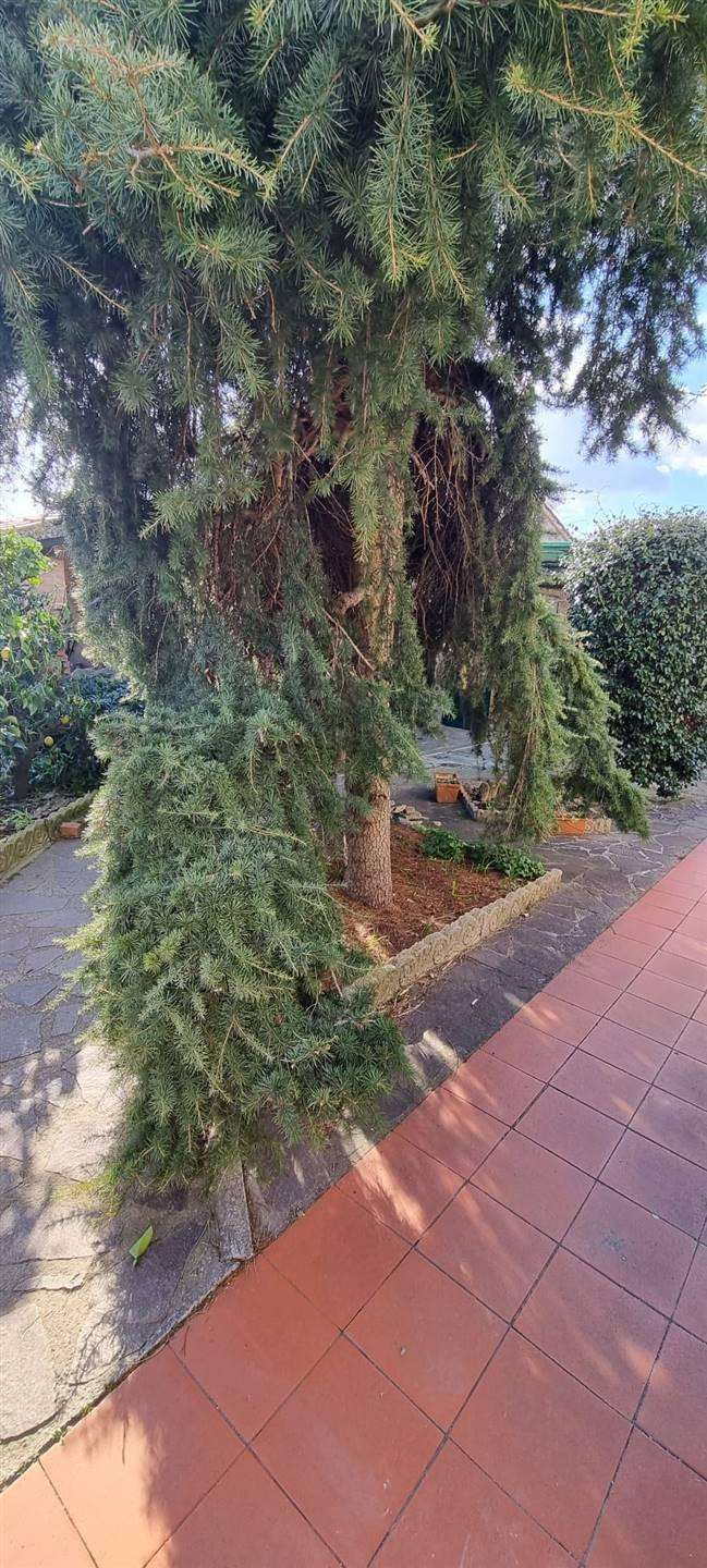  - foto 41
