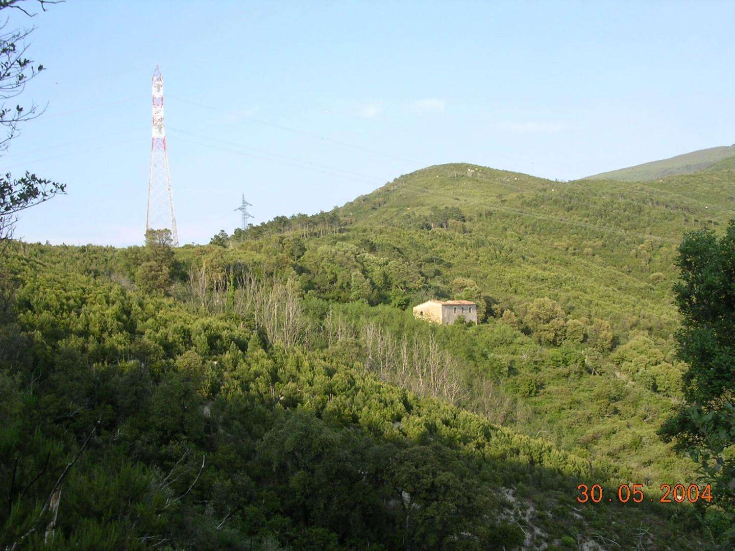 immagine annuncio 2 di 11