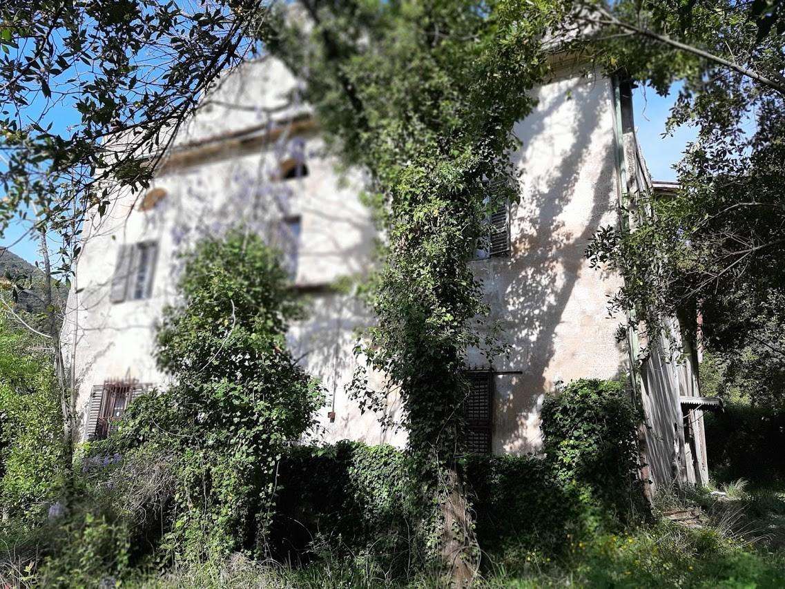immagine annuncio 6 di 11
