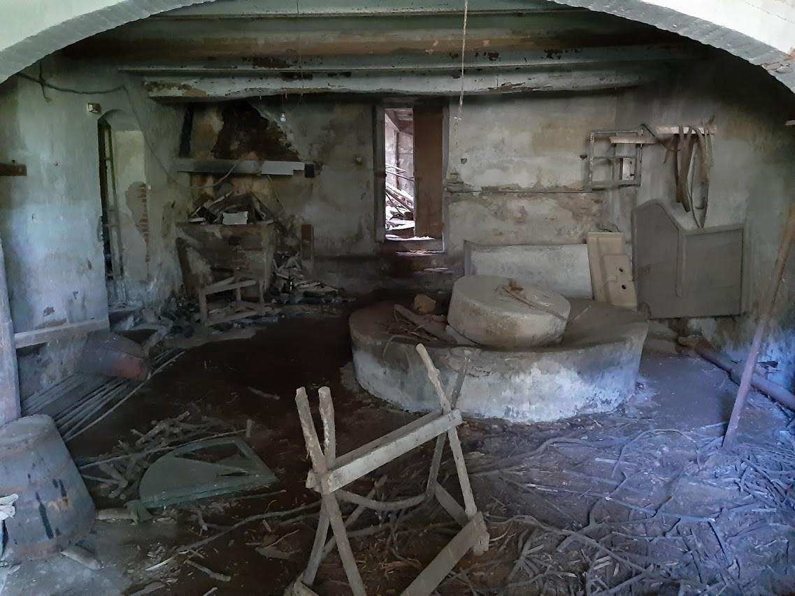 immagine annuncio 7 di 11