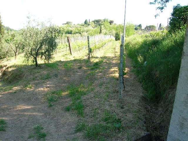  - foto 12