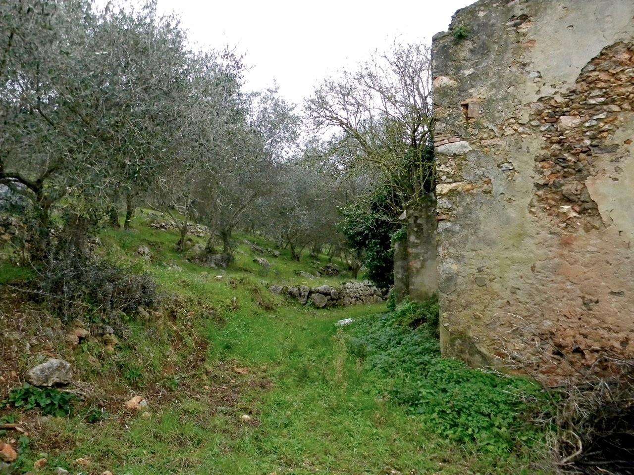  - foto 3