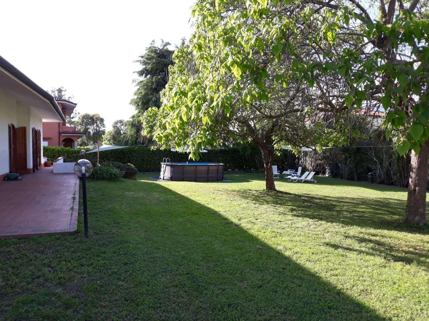  - foto 31