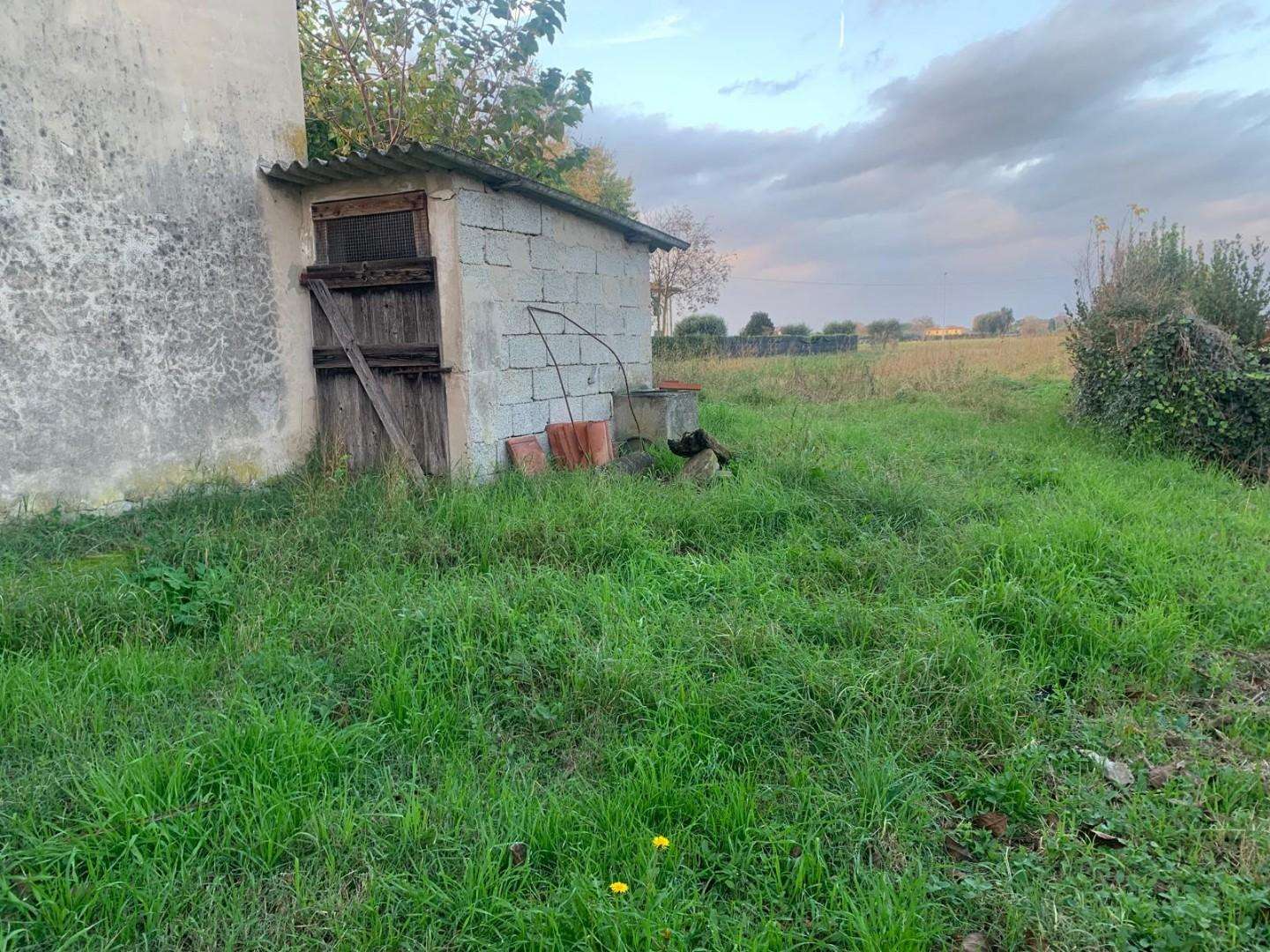  - foto 26