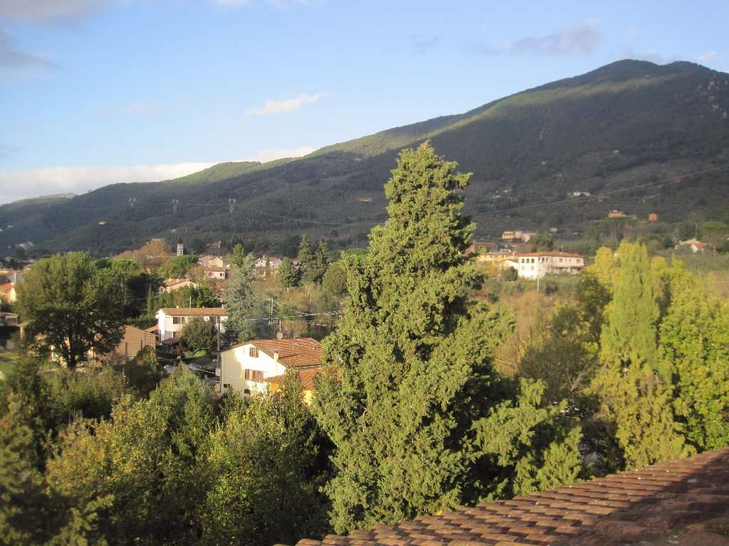  - foto 29