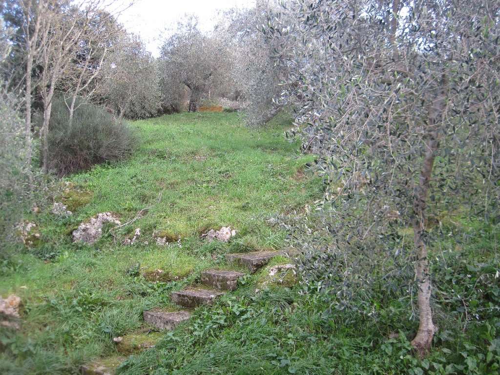  - foto 30