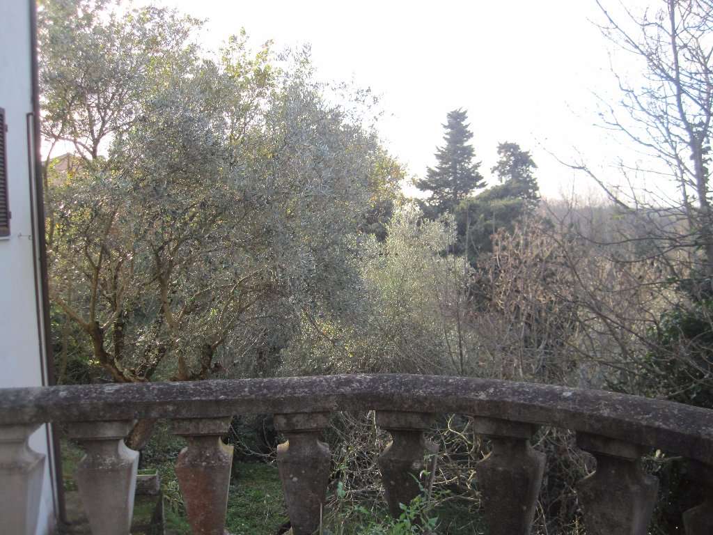  - foto 5