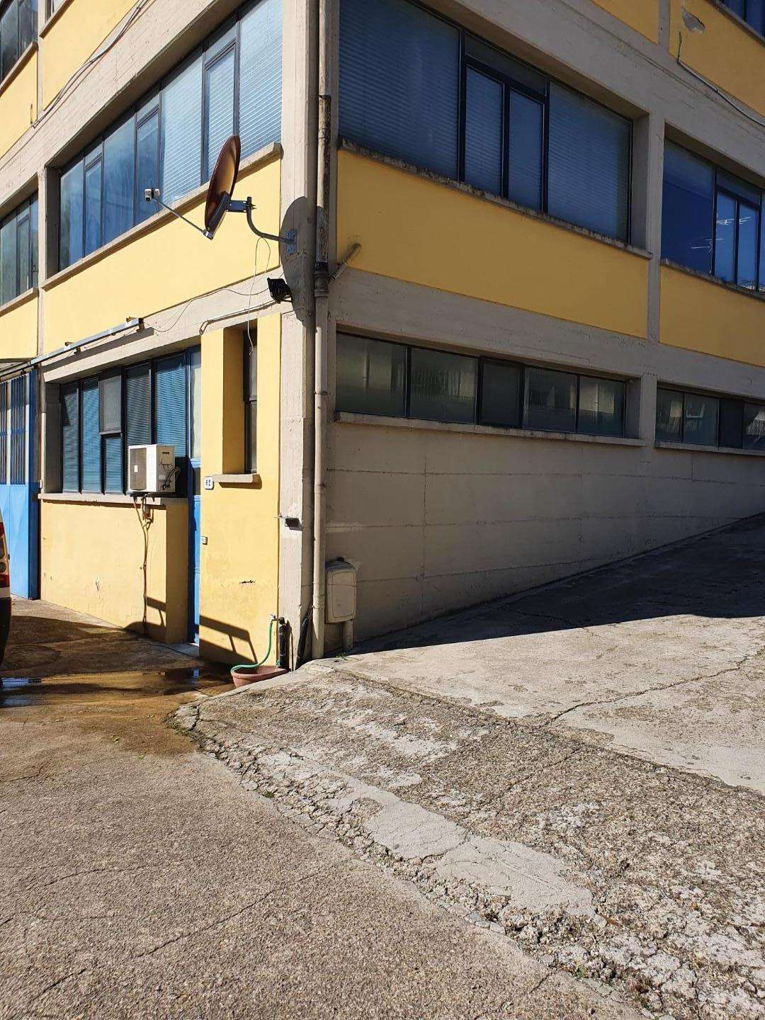 immagine annuncio 1 di 11