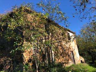 Casale Via Dante Alighieri,, Capraia e Limite