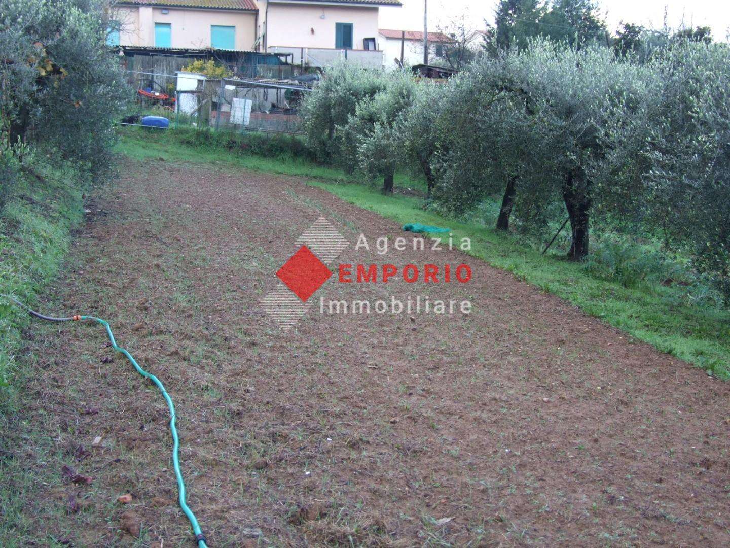 Appartamento in Vendita a Santa Maria a Monte Via di Bientina, 325