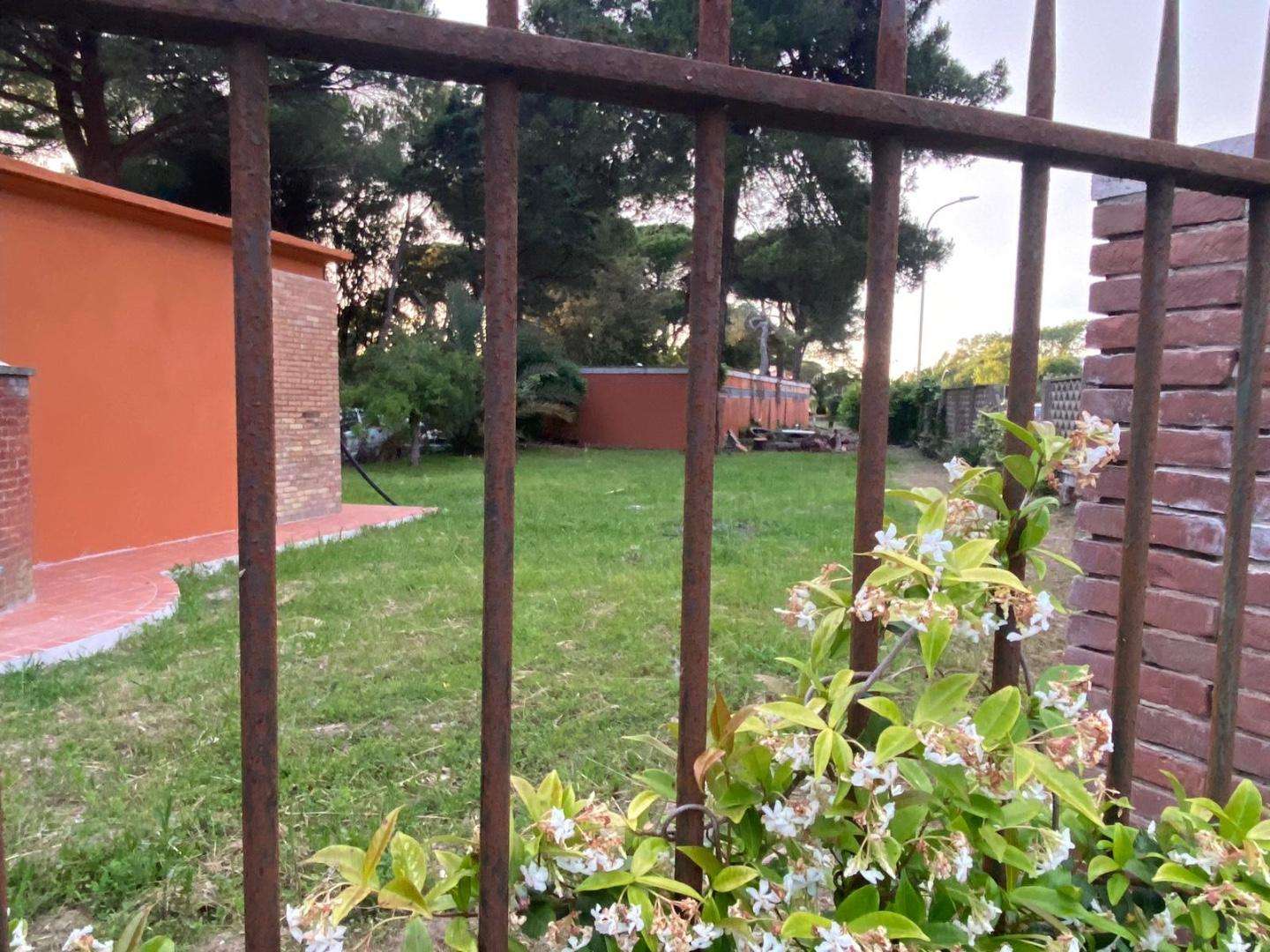  - foto 4