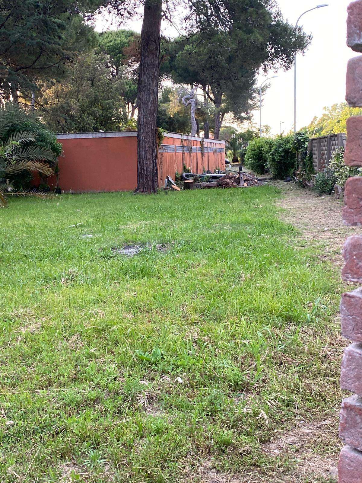  - foto 6