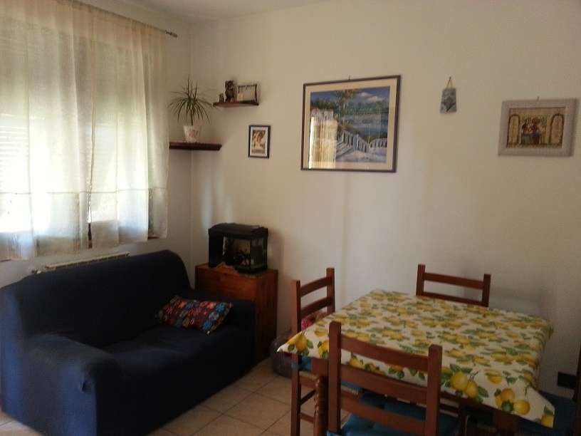 immagine annuncio 6 di 14