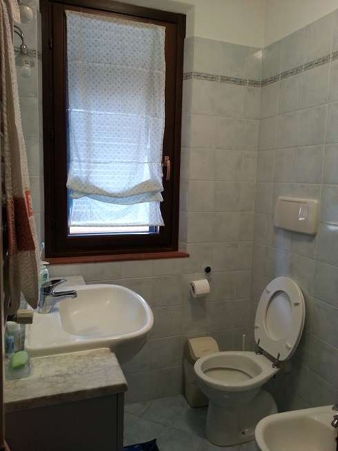 immagine annuncio 12 di 14