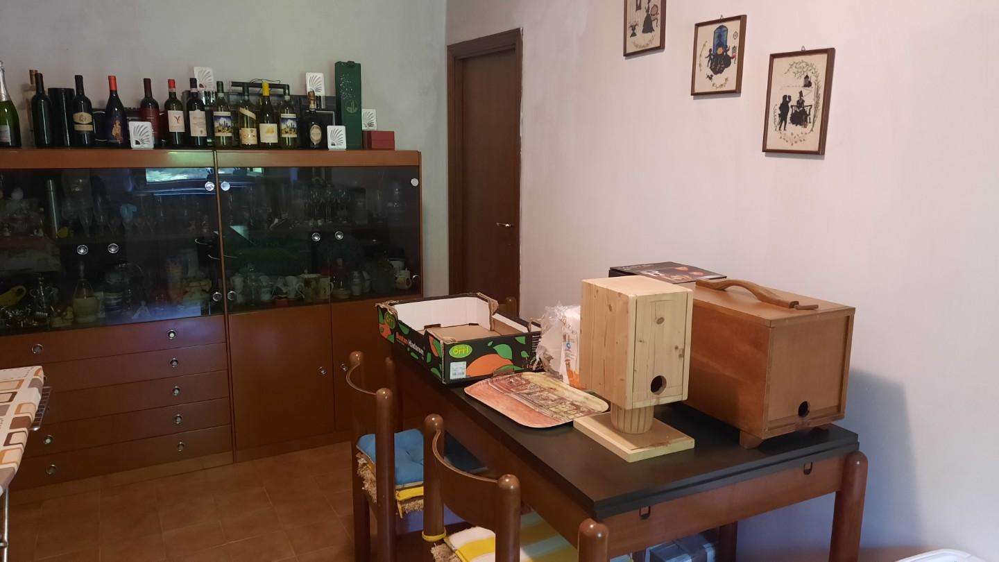 immagine annuncio 7 di 12