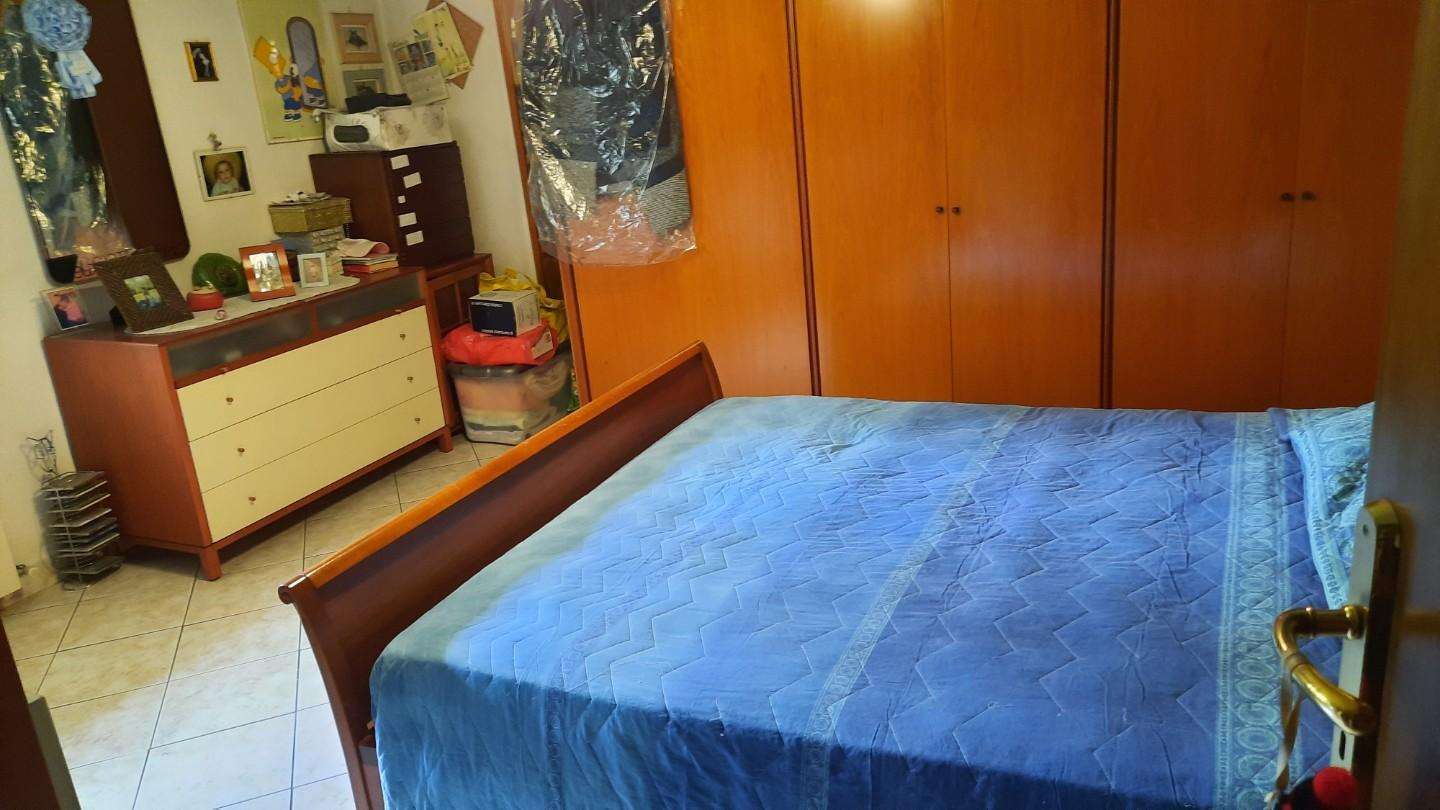 immagine annuncio 9 di 12