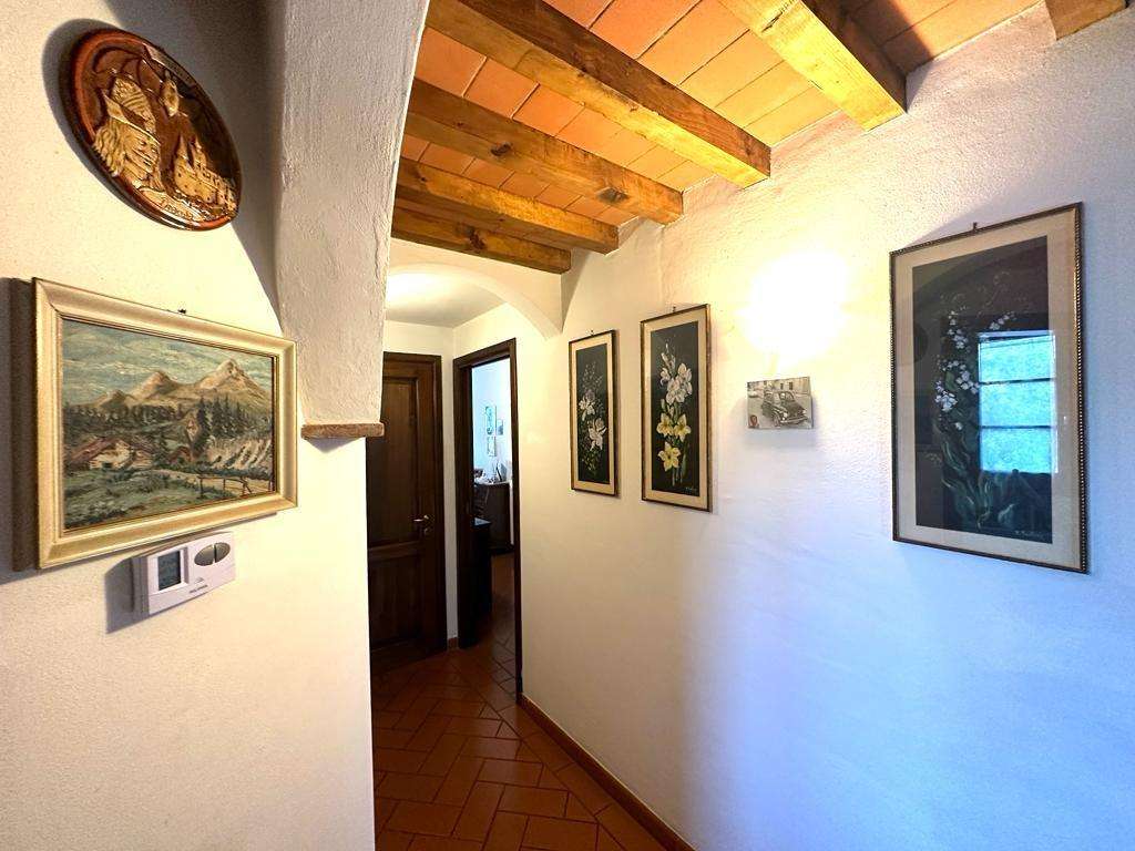  - foto 12