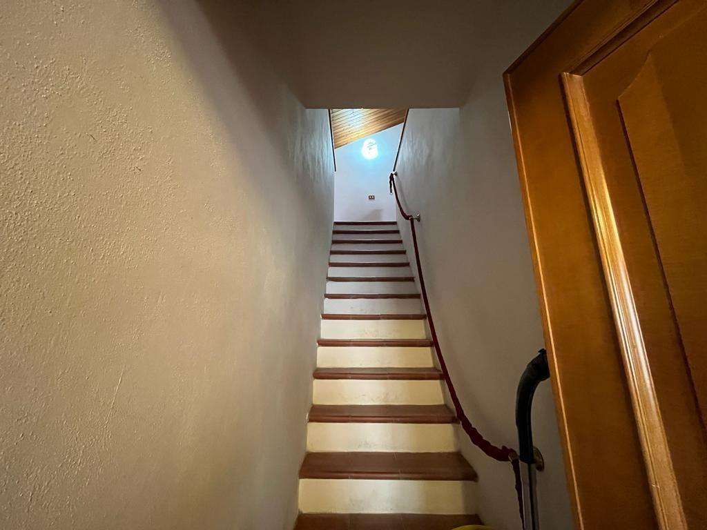 - foto 14