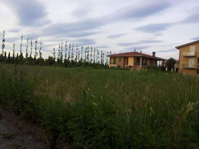  - foto 5