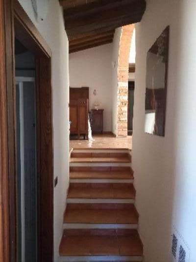 - foto 36