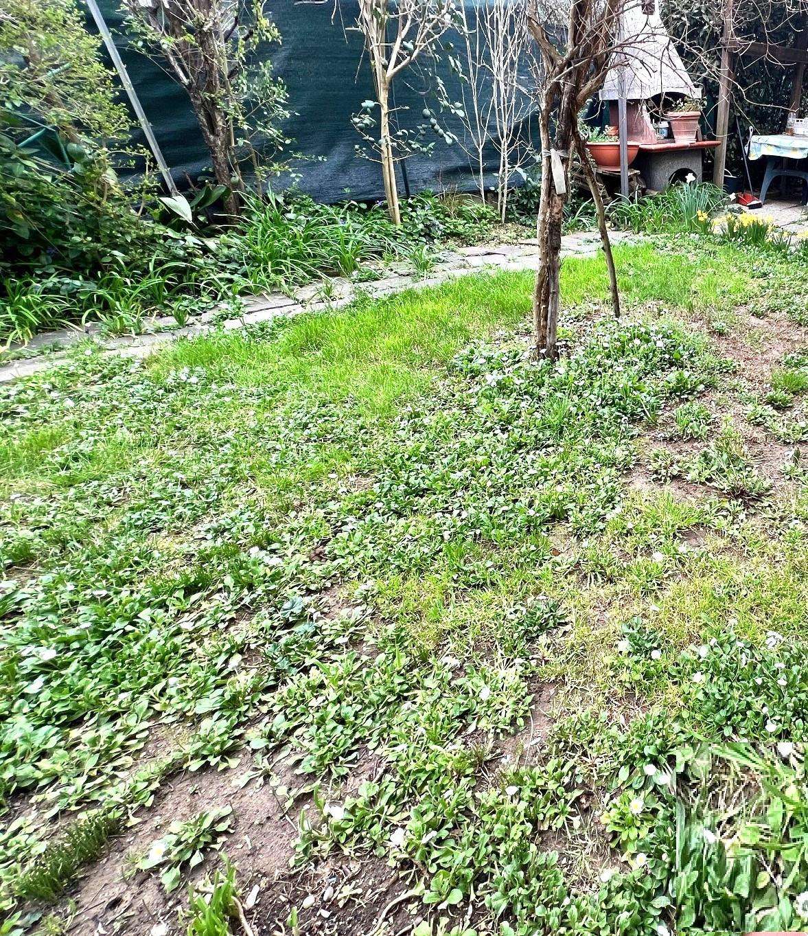  - foto 4