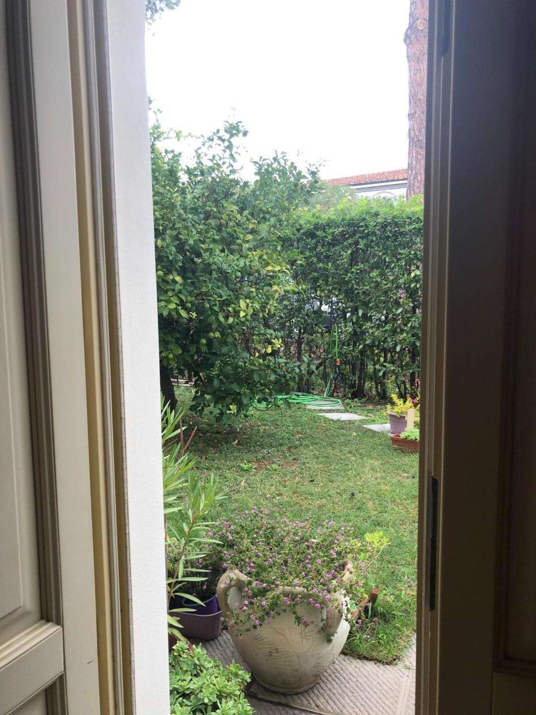  - foto 34