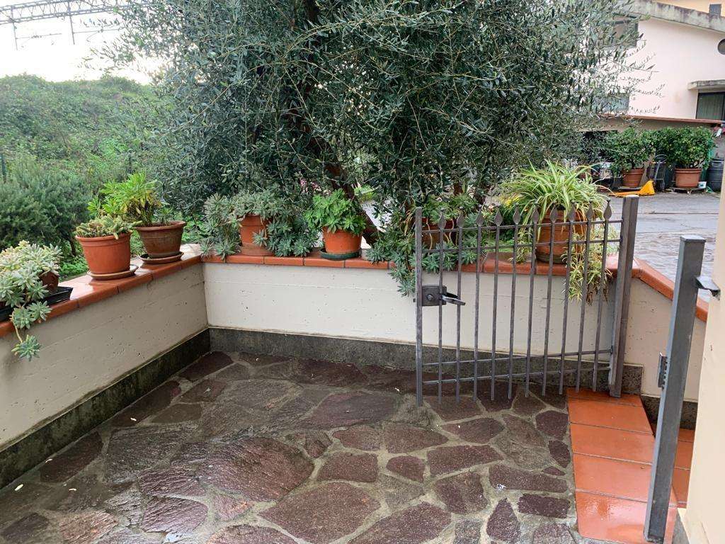 immagine annuncio 2 di 12